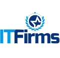 Top Web Development