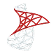 Microsoft SQL server