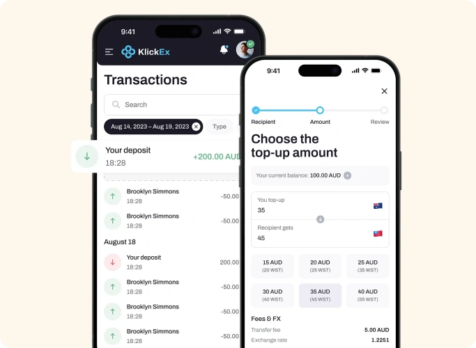 Cross-border B2B digital wallet with multi-currency balances