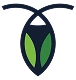 CockroachDB Icon