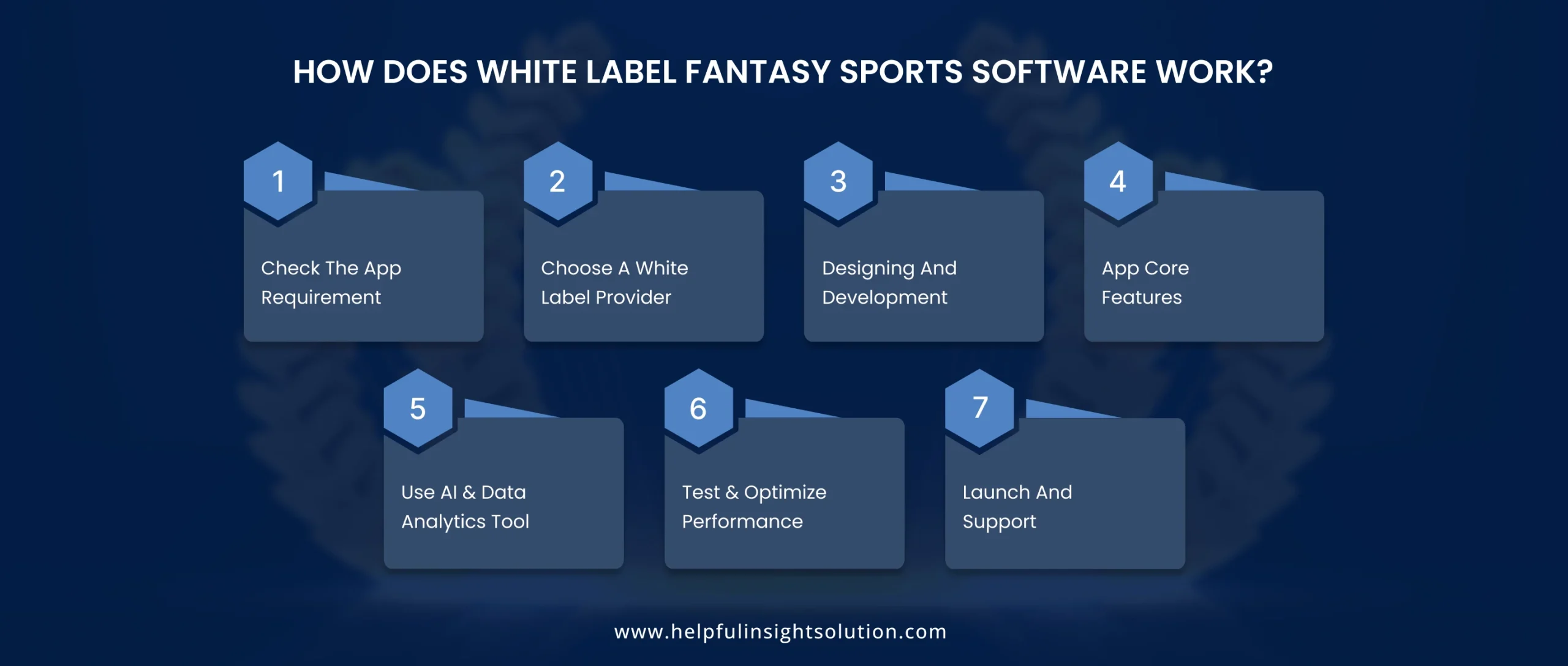 How Does White Label Fantasy Sports Software Work?