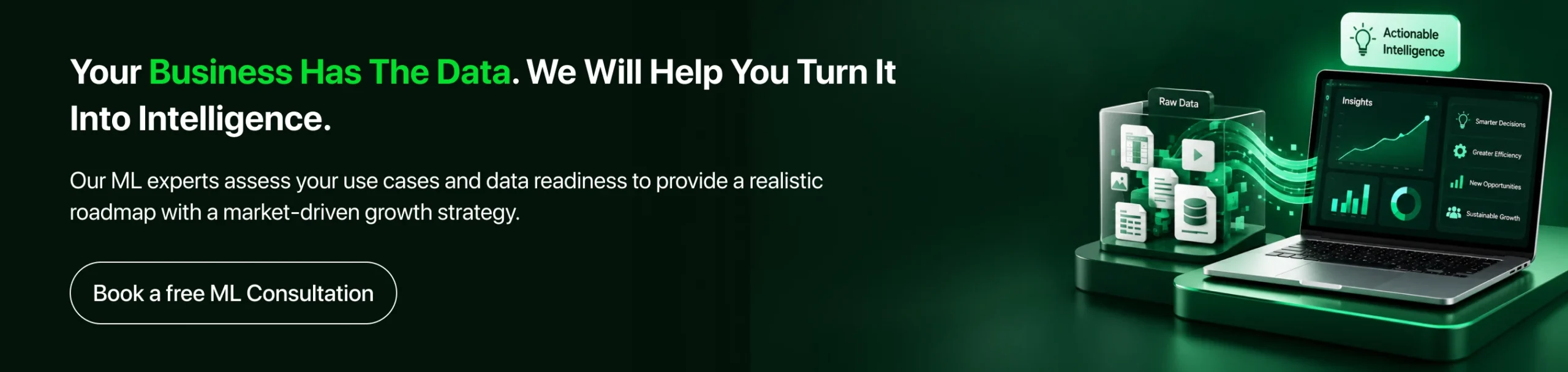Book a free ML consultation